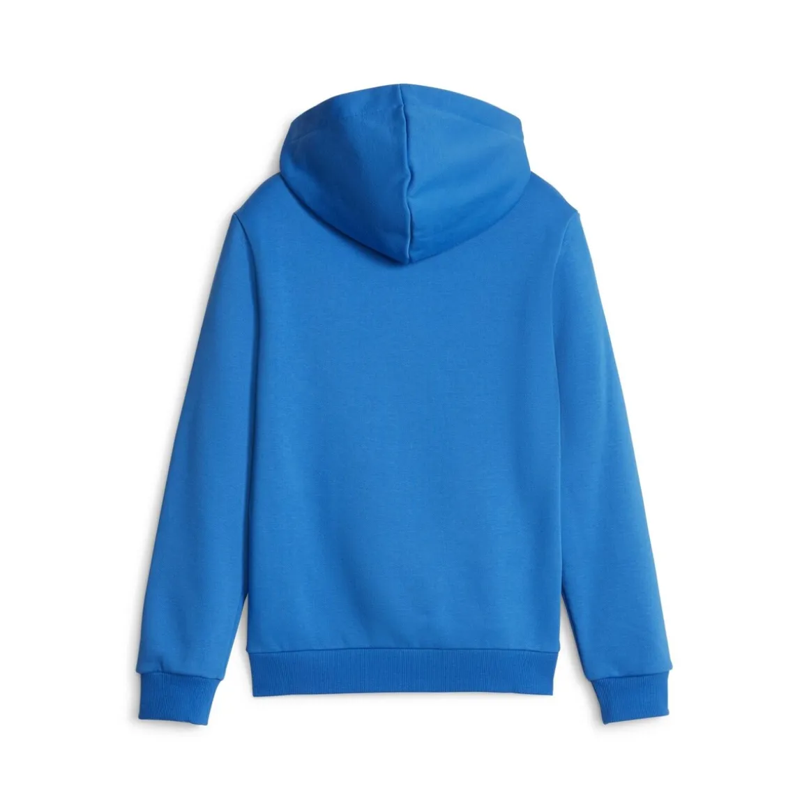 Puma - ESS 2 COL BIG LOGO HOODIE FL B