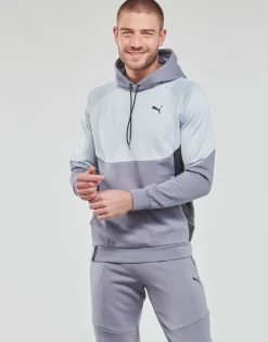 Puma - INLINE