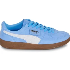 Puma - Palermo