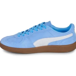 Puma - Palermo