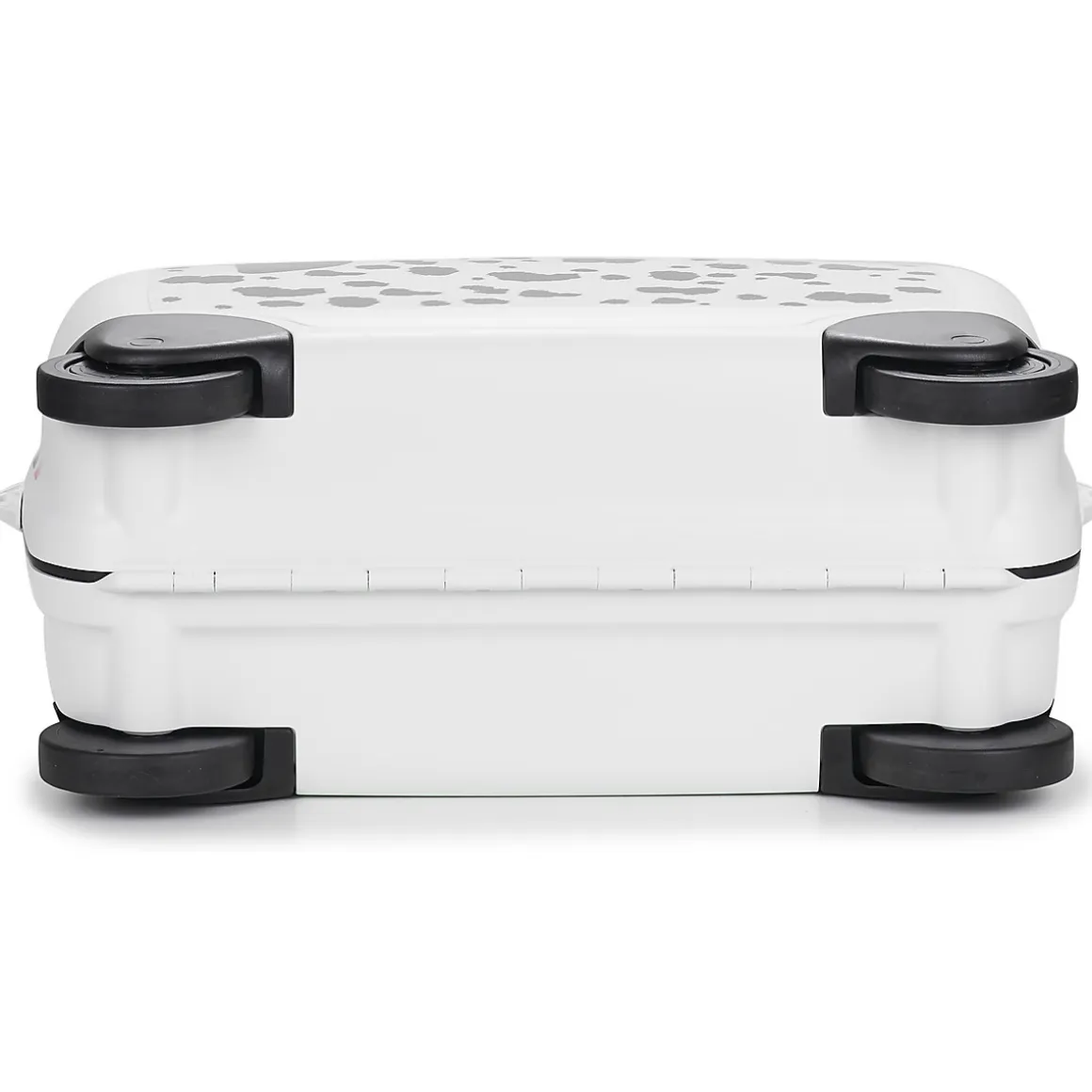 Sammies - DREAM2GO PUPPY