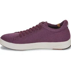 Saola - CANNON KNIT 2.0 WOOL
