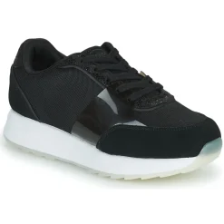 Scholl - BEYONCE'