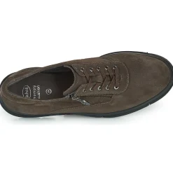 Scholl - BRISTOL ZIP