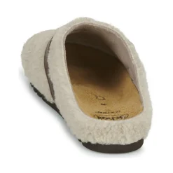 Scholl - CHARLOTTE