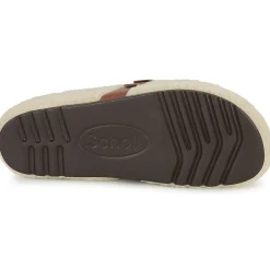 Scholl - CHARLOTTE