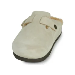 Scholl - FAE