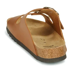 Scholl - NOELLE