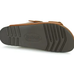 Scholl - NOELLE