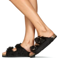 Scholl - NOELLE