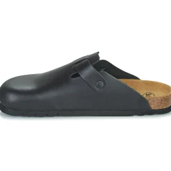 Scholl - OLIVIER