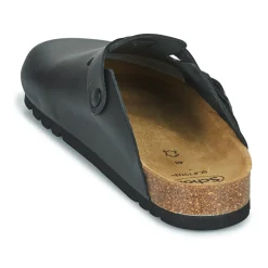 Scholl - OLIVIER