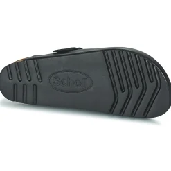 Scholl - OLIVIER