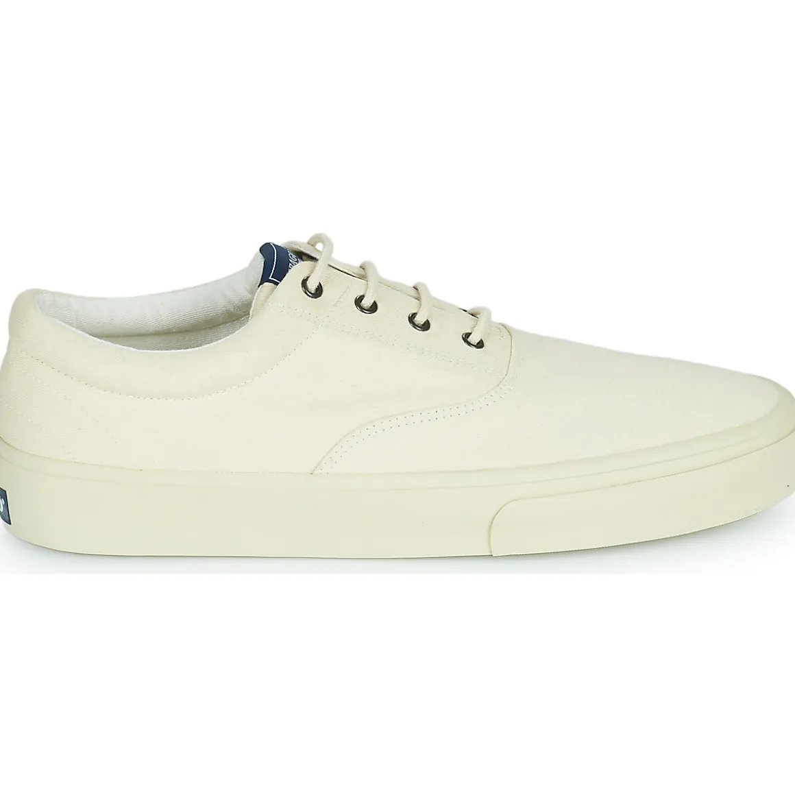 Sebago - JOHN SUEDE