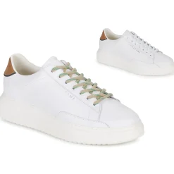 Serafini - ROGER 2