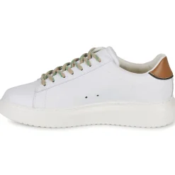 Serafini - ROGER 2