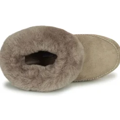 Shepherd - PITEA