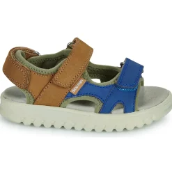 Shoo Pom - ROLLY BOY SCRATCH