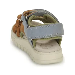 Shoo Pom - ROLLY BOY SCRATCH