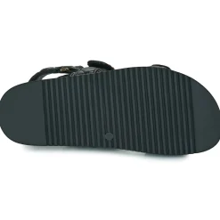 Steve Madden - MONA