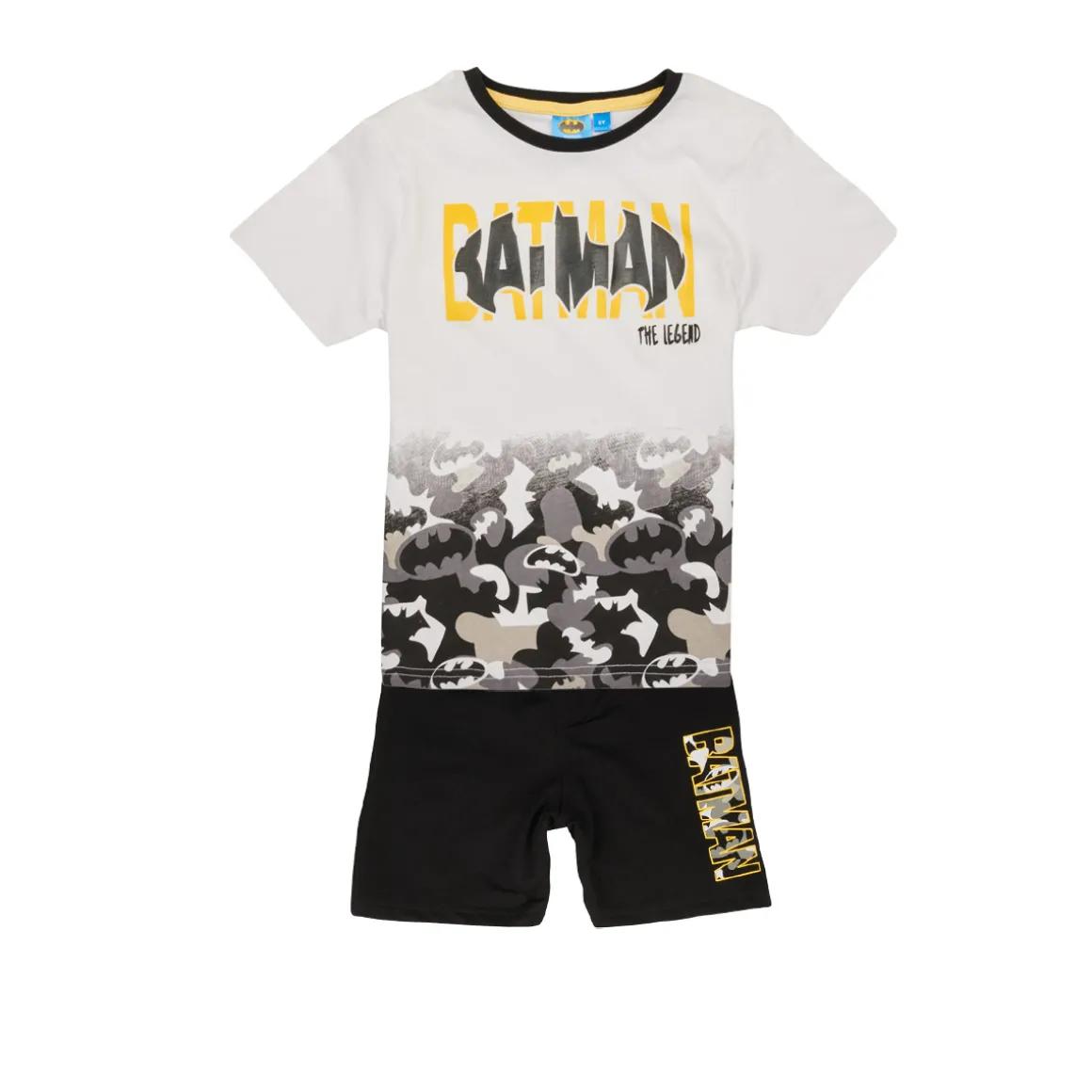 TEAM HEROES - ENSEMBLE BATMAN