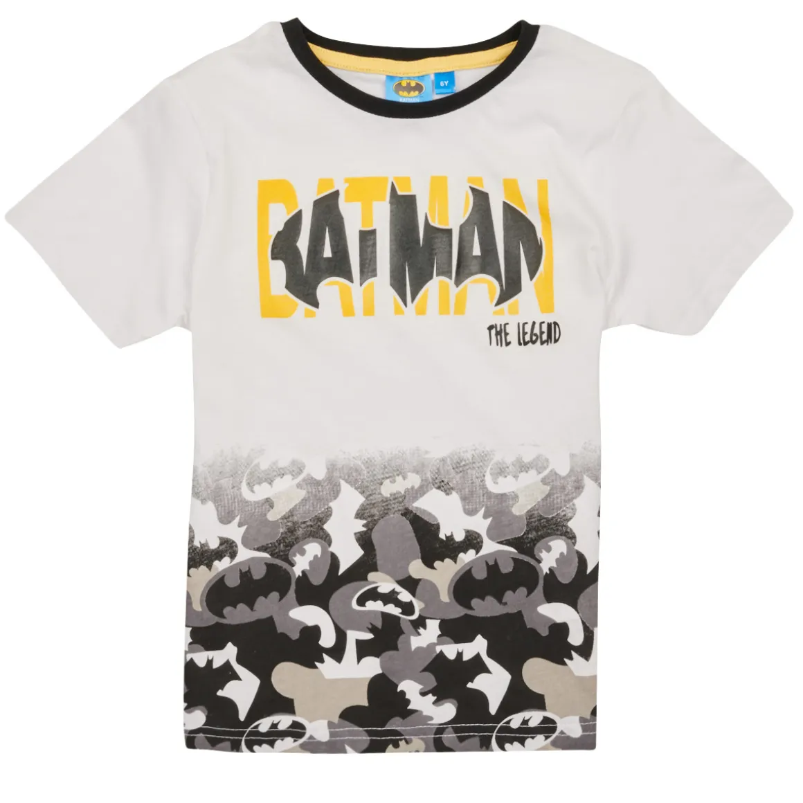 TEAM HEROES - ENSEMBLE BATMAN