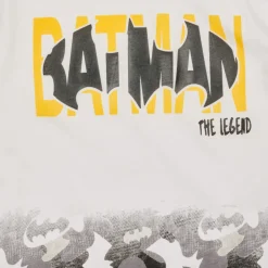 TEAM HEROES - ENSEMBLE BATMAN