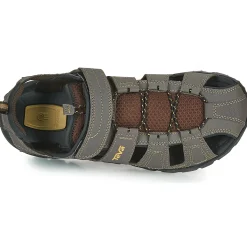 Teva - FOREBAY