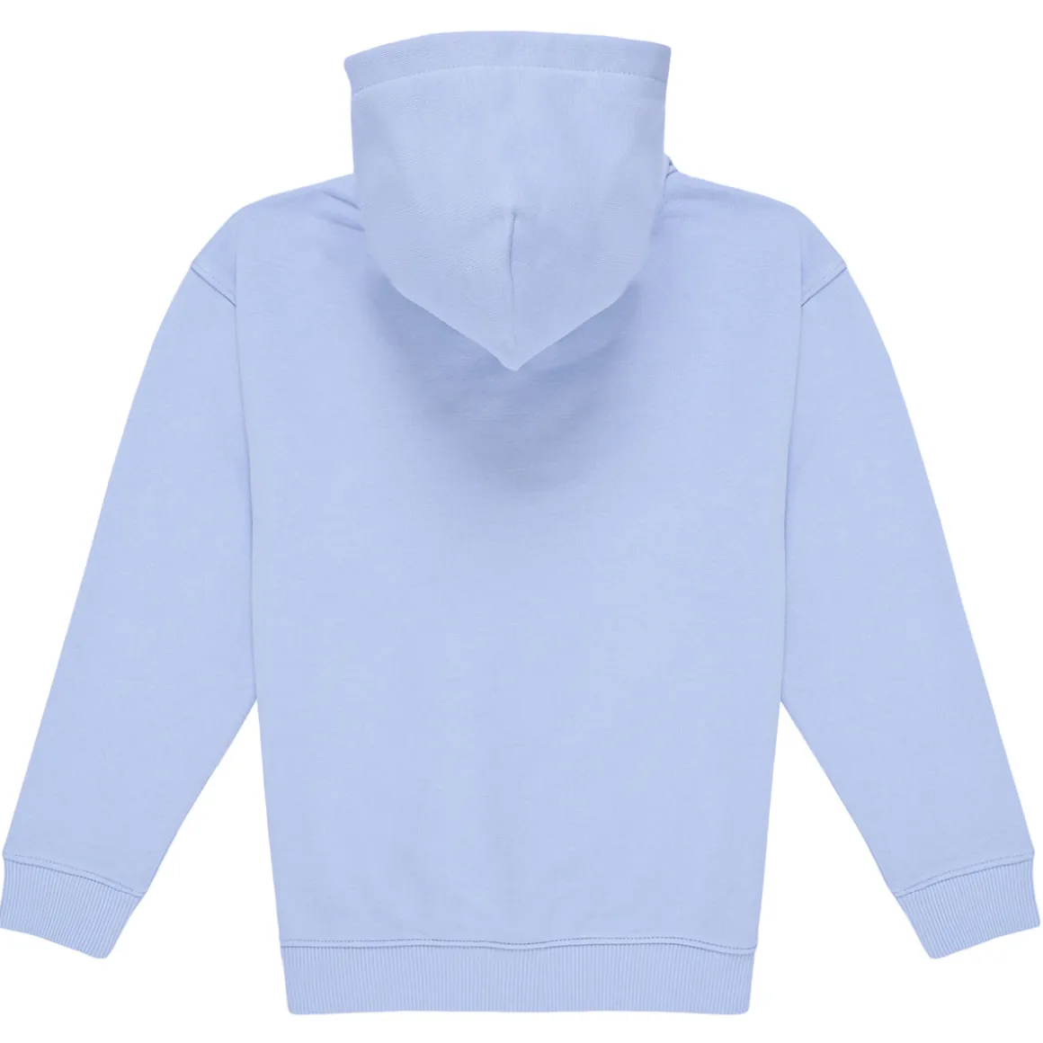 Tommy Hilfiger - U TIMELESS HOODIE