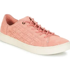 Toms - LENOX