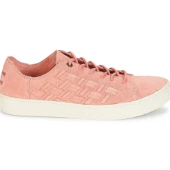 Toms - LENOX