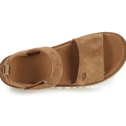 UGG - GOLDENSTAR