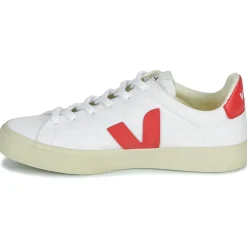 Veja - CAMPO CANVAS