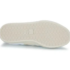 Veja - CAMPO CANVAS