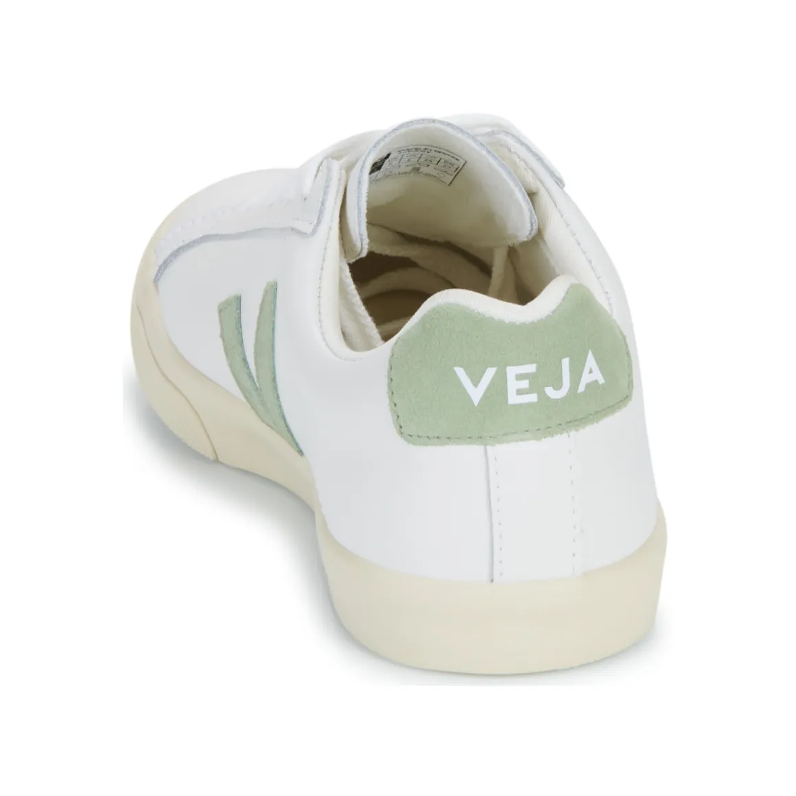Veja - ESPLAR LOGO