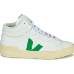 Veja - MINOTAUR