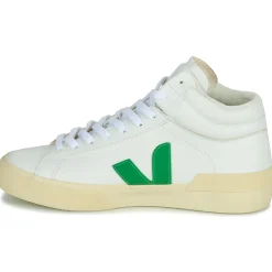 Veja - MINOTAUR
