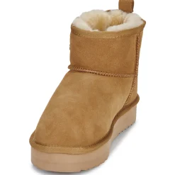 Warmbat - WALLABY