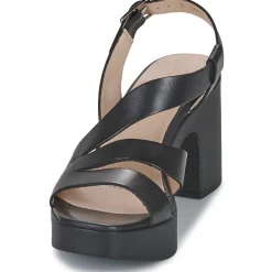 Wonders - L-1011 PERGAMENA