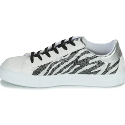 Yurban - ANISTAR